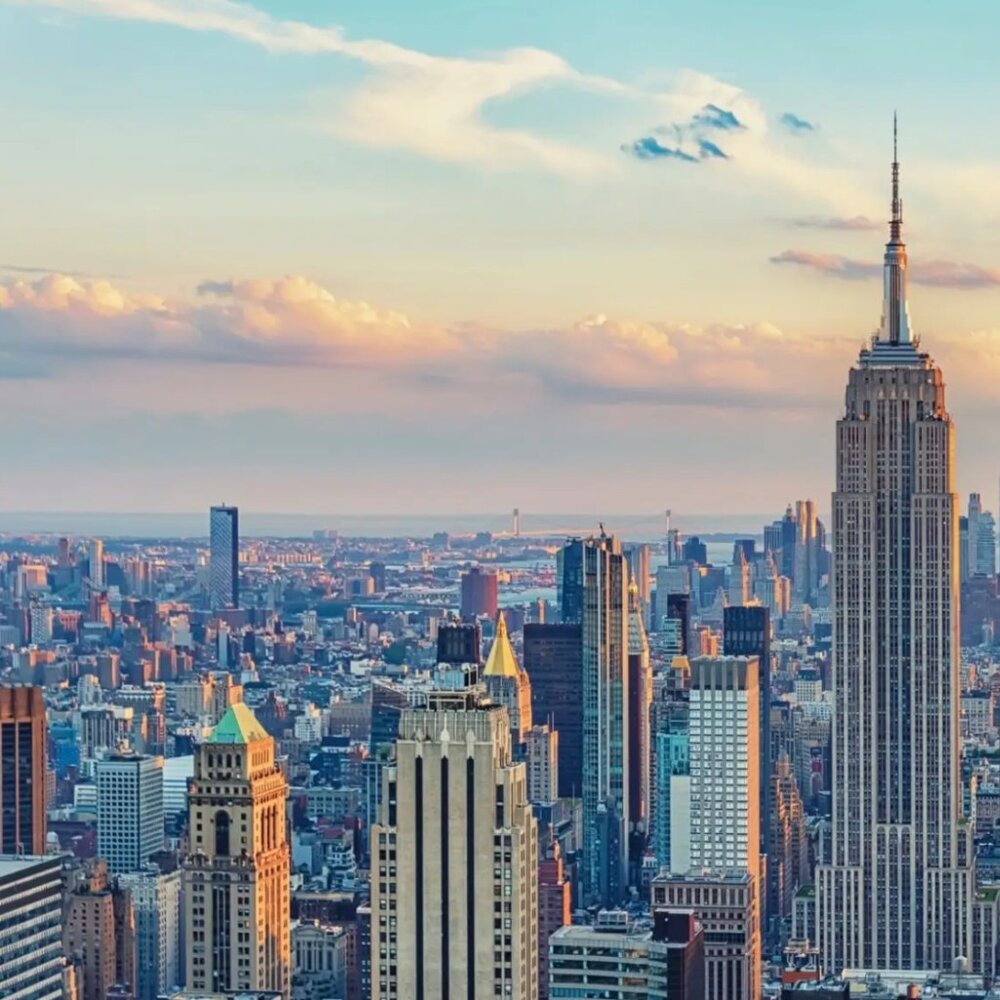 Meet your Posher, Designer Man NYC